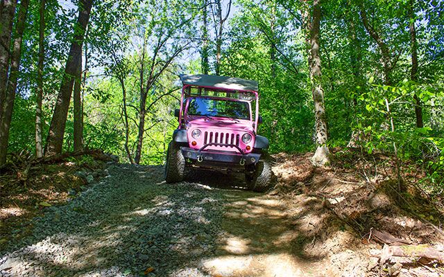 Smoky Mountains Pink Jeep Tours | My Pigeon Forge